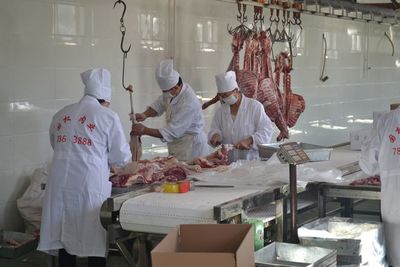 科技自然养殖 生产安心羊肉